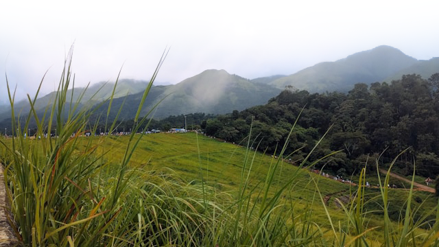 The Land