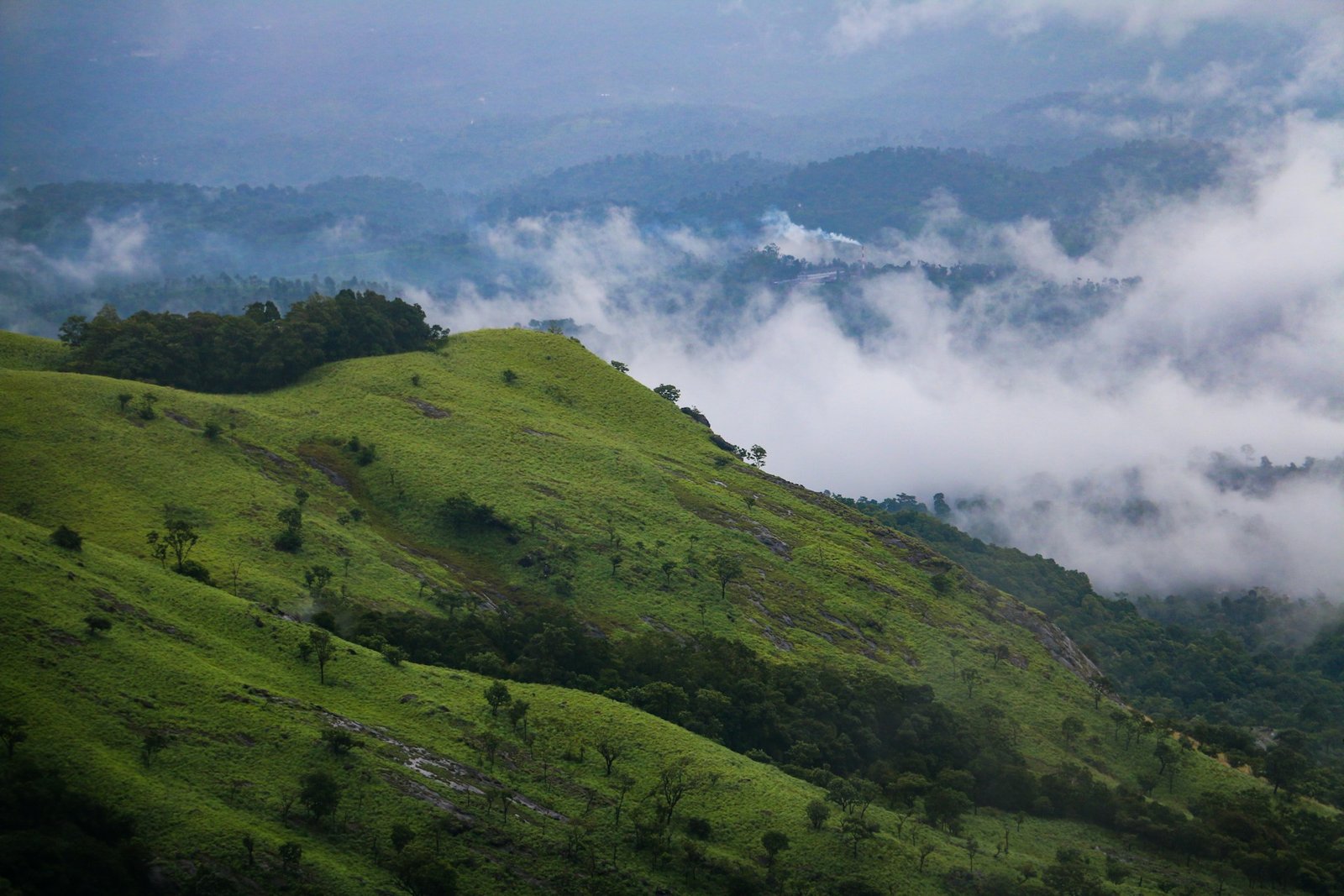 The Landscape