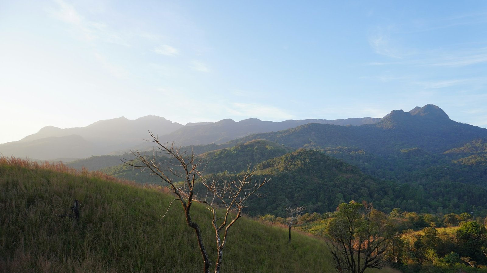 2 Nights / 3 Days — The Essential Wayanad