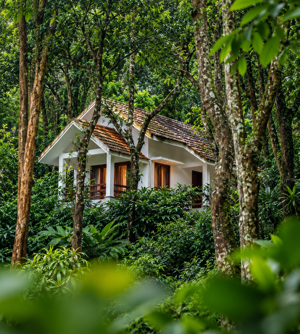 Homestay & Booking